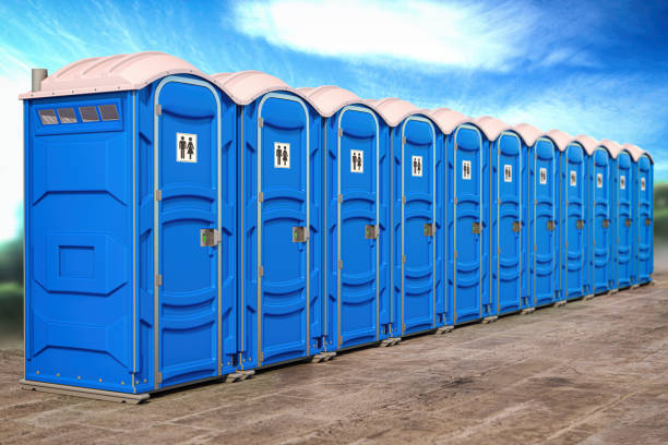 Best Portable Toilets with Baby Changing Stations  in Roxana, IL