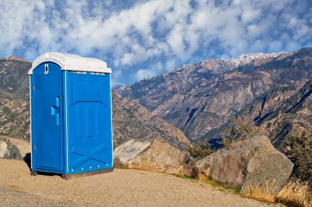 Best Portable Restroom Removal and Pickup  in Roxana, IL