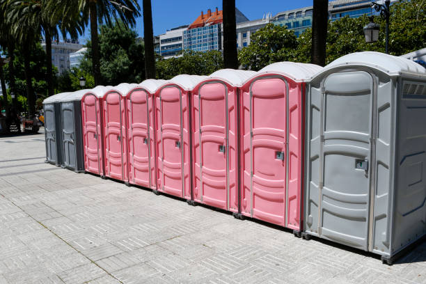 Types of Portable Toilets We Offer in Roxana, IL